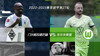 拜仁主场轻取沃尔夫斯堡，保持不败