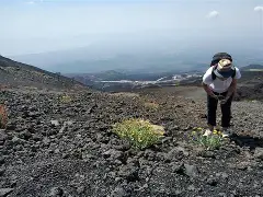 关于卡塔尼亚主场告捷，向着保级目标迈进的信息