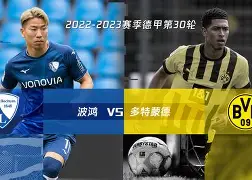 德累斯顿客场告负德甲倒数第三位置的简单介绍